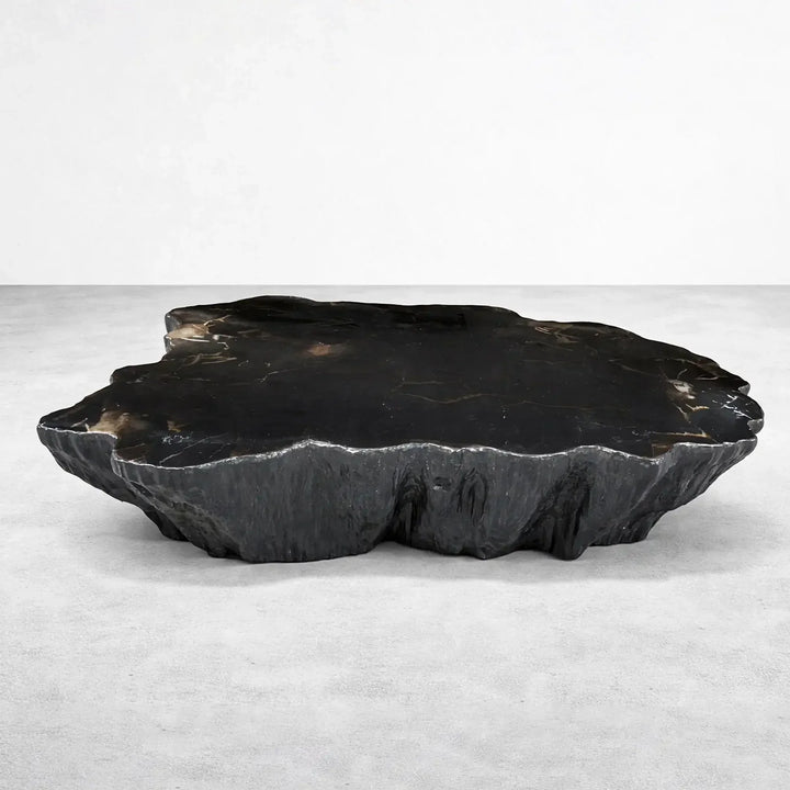 Clayhill Irregular Shape Coffee Table Petrified Wood Cocktail Table