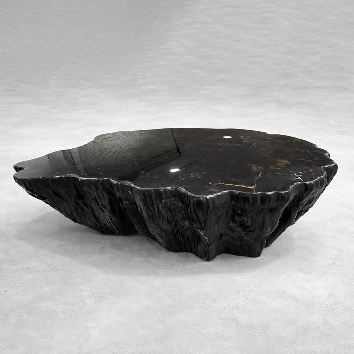 Clayhill Irregular Shape Coffee Table Petrified Wood Cocktail Table