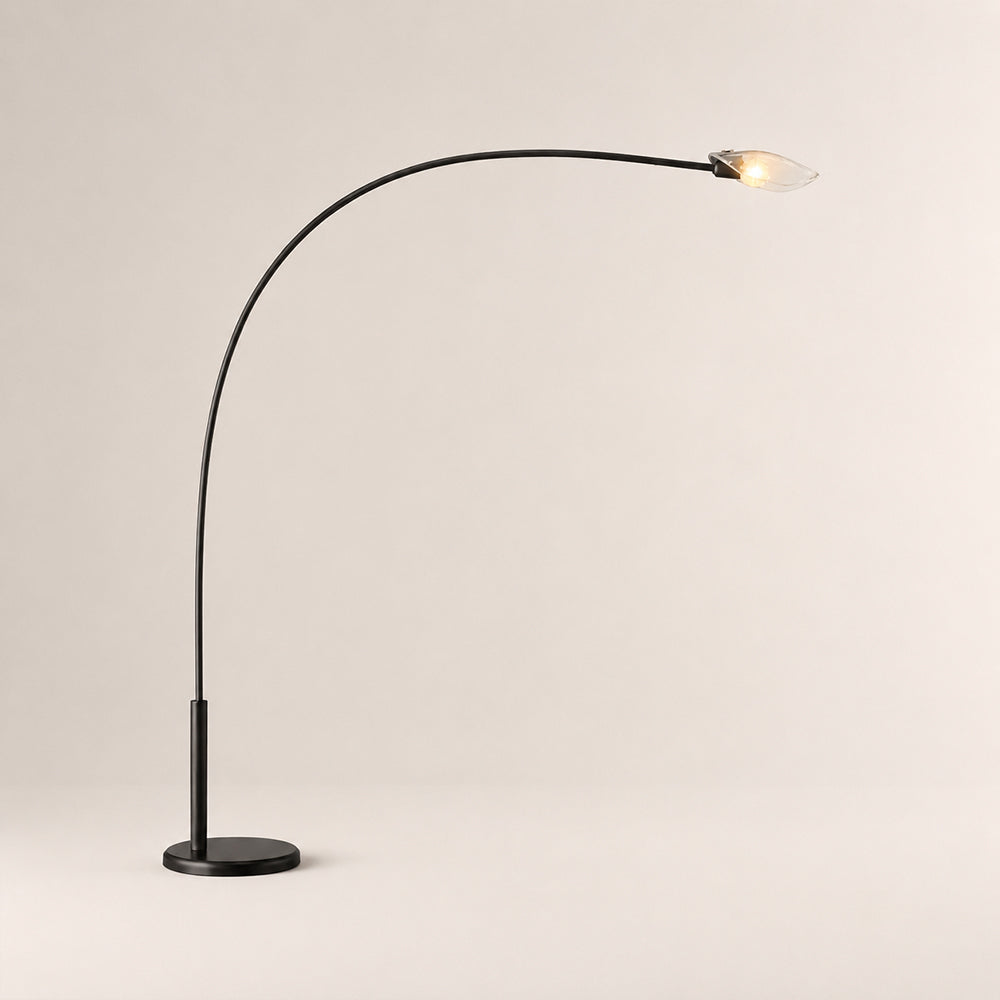 Sally Clear Glass Floor Lamp