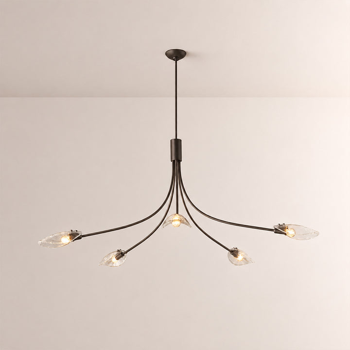 Sally Clear Glass Round Chandelier